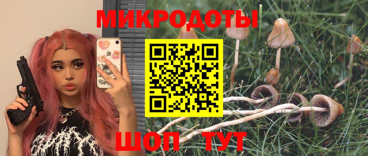 Псилоцибиновые грибы мицелий Южно-Сахалинск